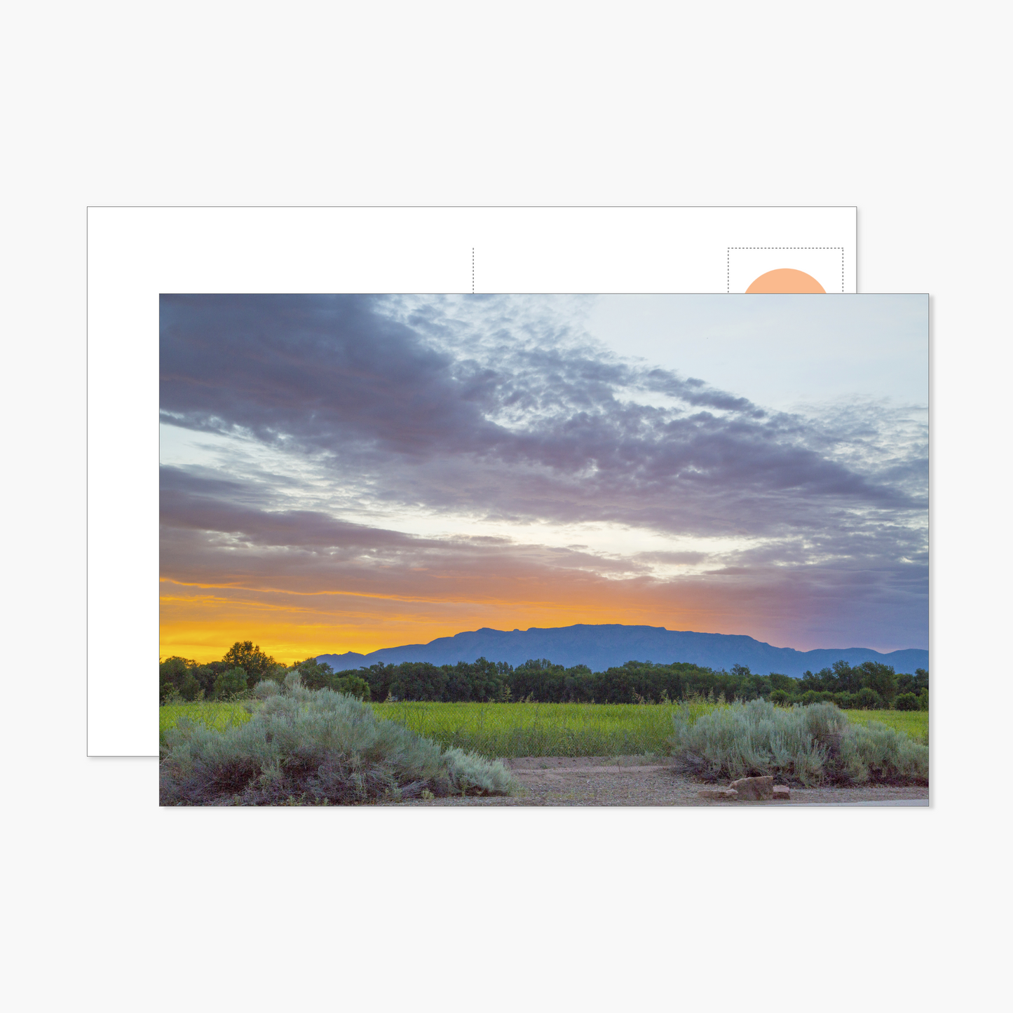 Blue Golden Summer Postcard