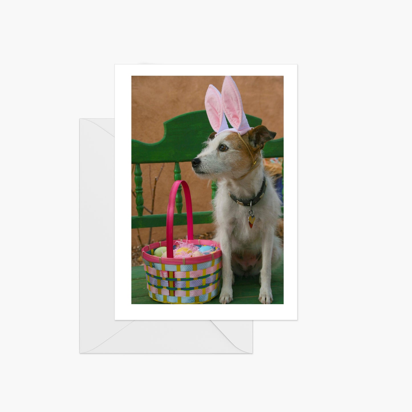 Easter Bunny and Basket