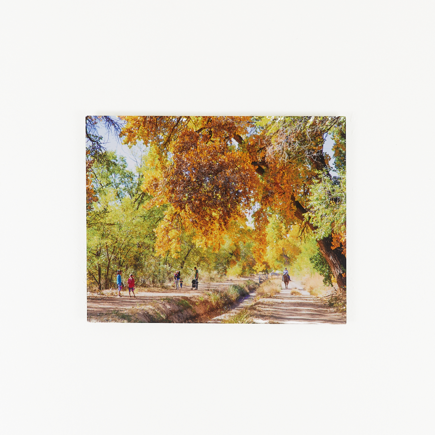 Fall Splendor Metallic Print