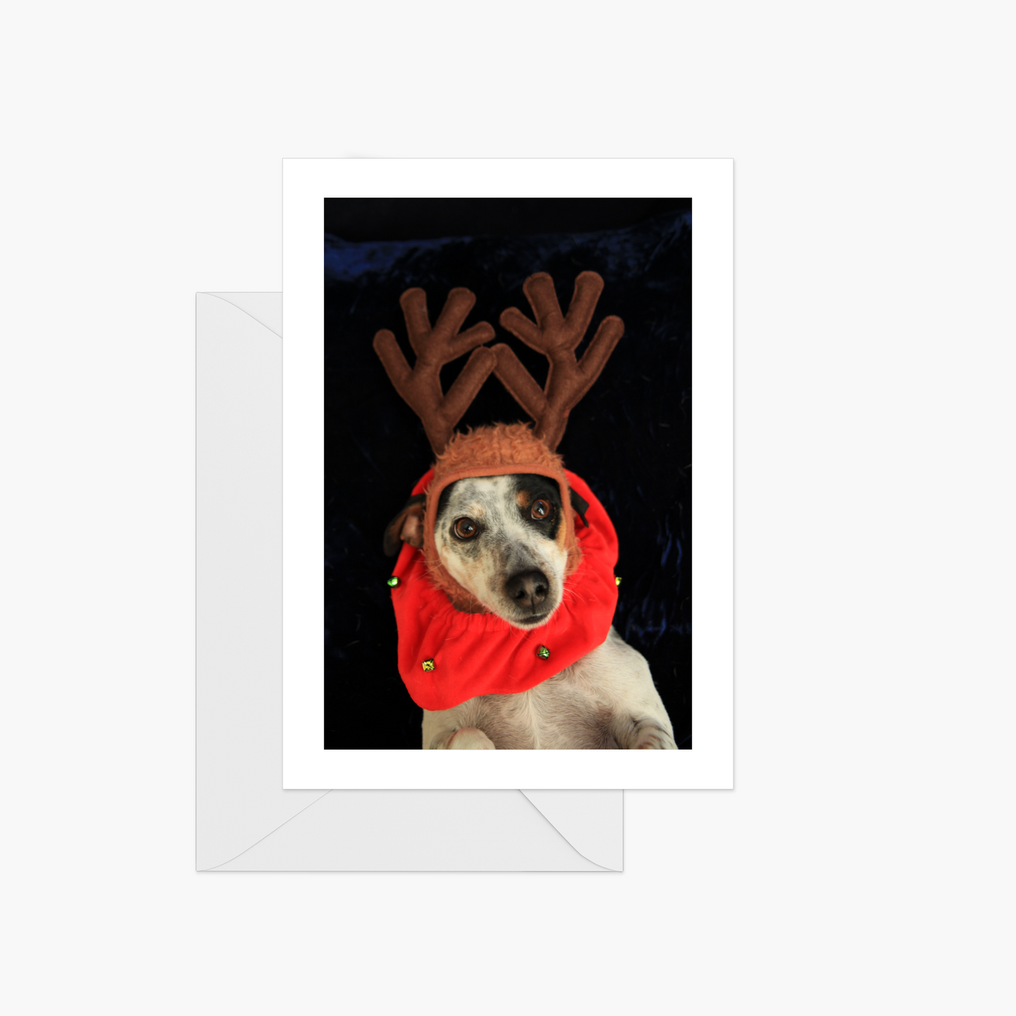 Mr. Rudolph