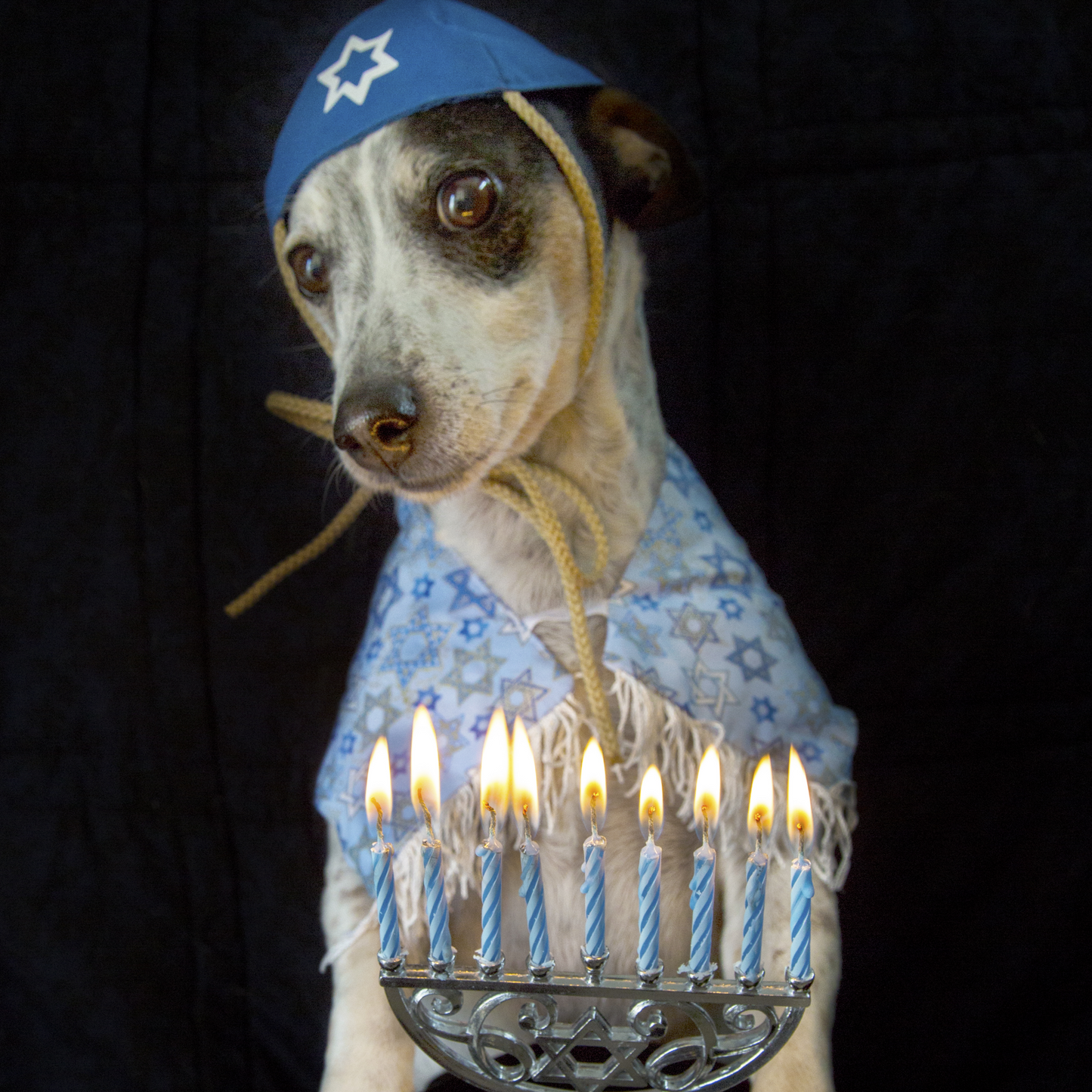 It's Hanukkah