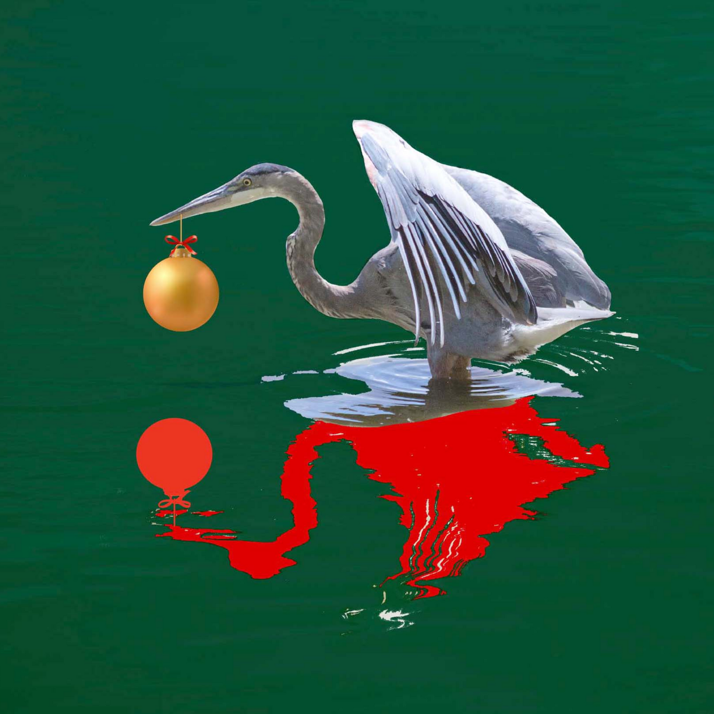 Happy Holiday's Great Blue Heron