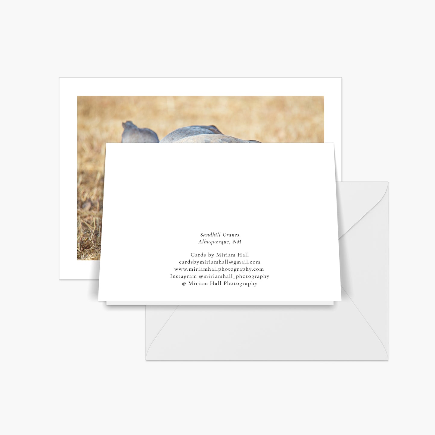 Sandhill Cranes Card Collection