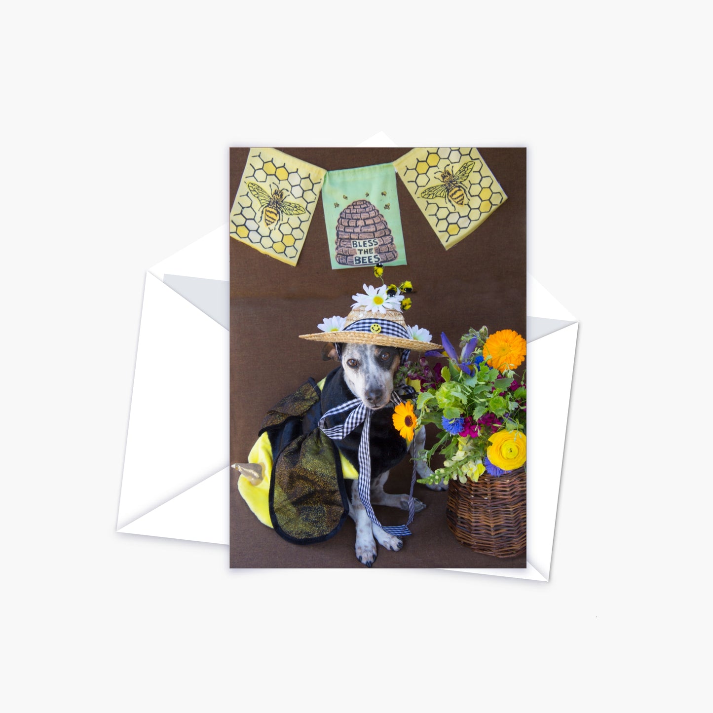 All You Need is Love & a Dog Card Collection