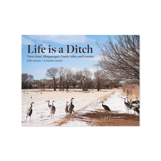 Life is a Dtich 2026 Calendar