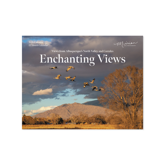 Enchanting Views 2026 Calendar