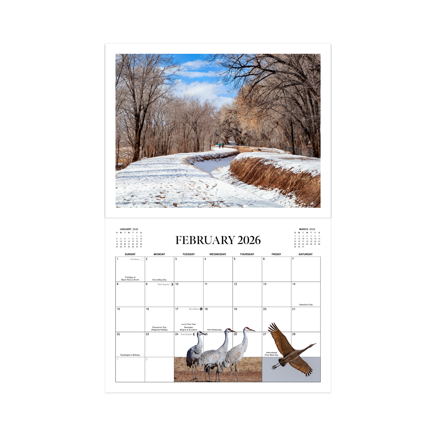 Life is a Dtich 2026 Calendar