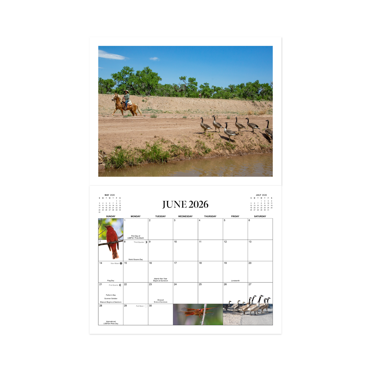 Life is a Dtich 2026 Calendar