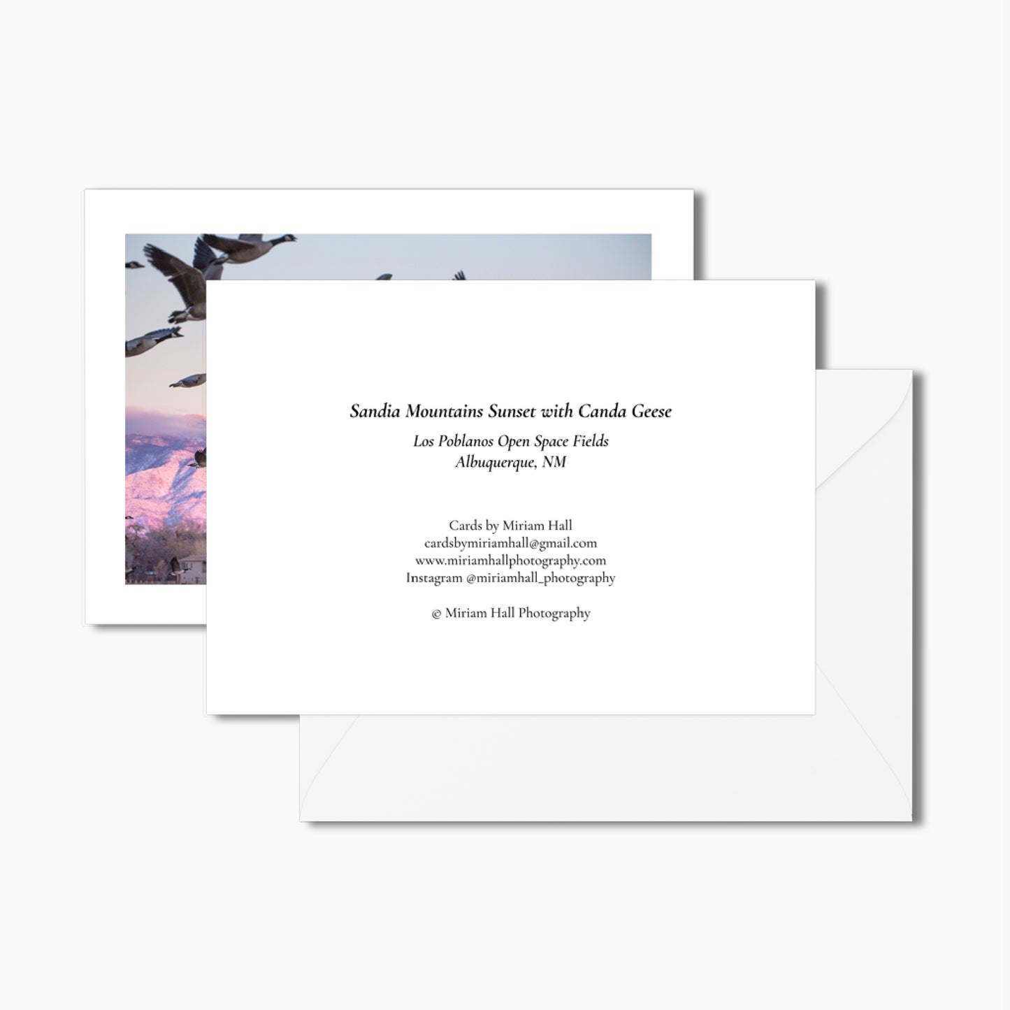 Enchanting Views Card Collection