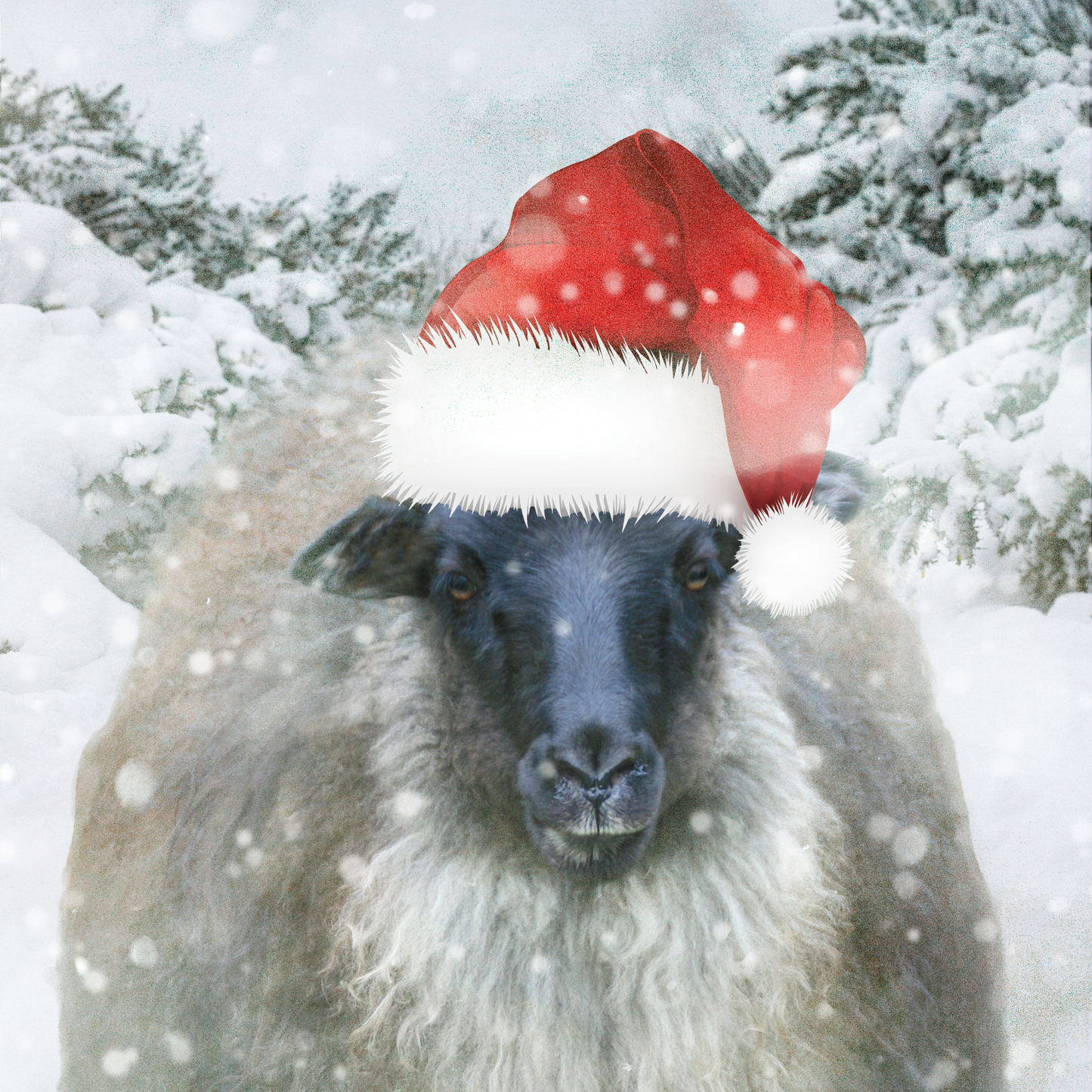 May Your Christmas Be Bright