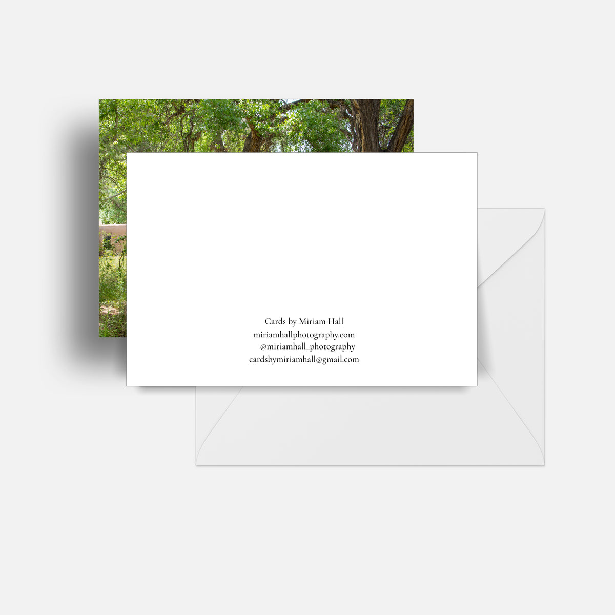 Autumnal View of Sandia Mountains Luxe Postcard