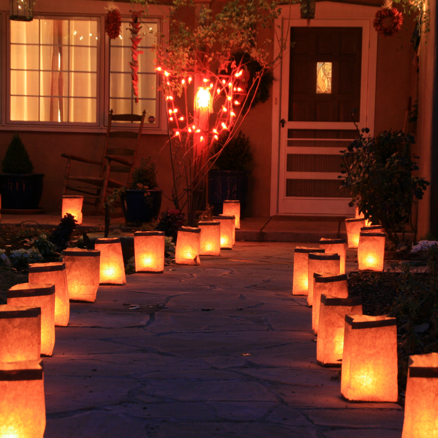 Christmas Luminarias