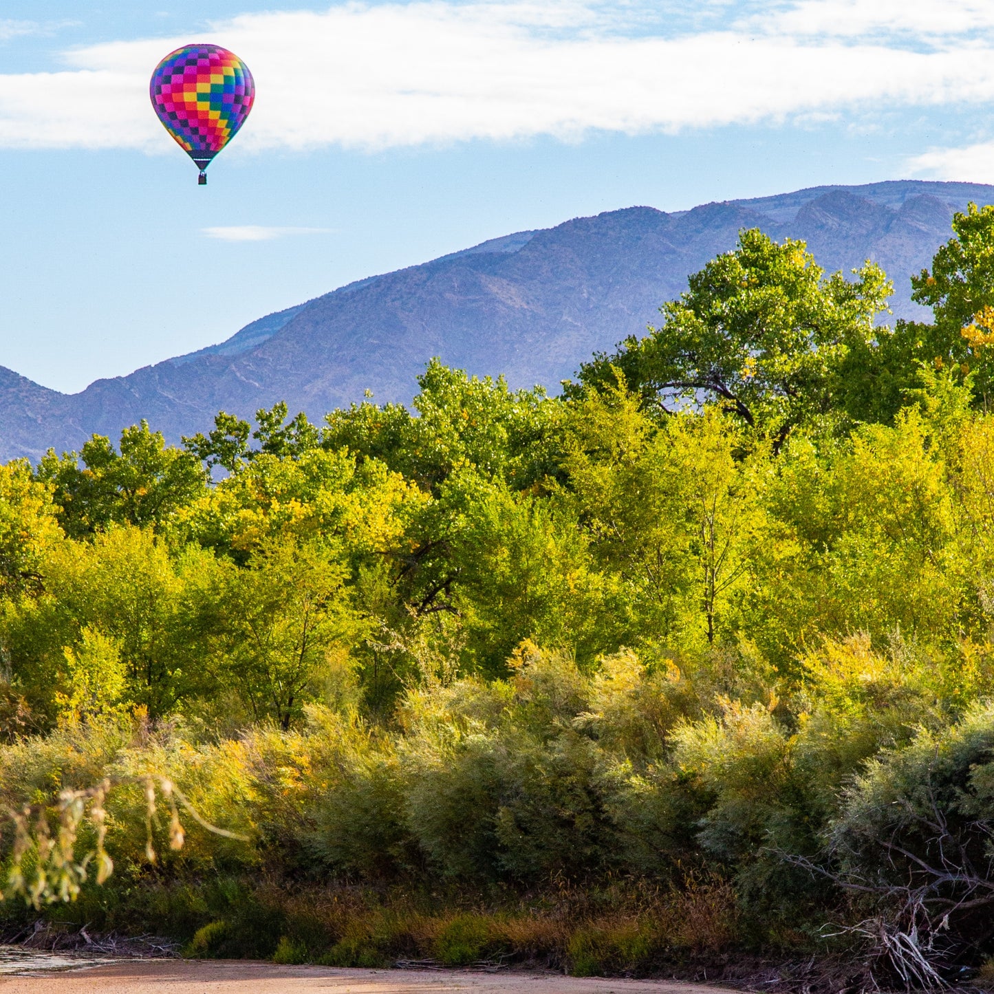 New Mexico Balloon Fiesta - Geese Flying at Sunrise (Copy)
