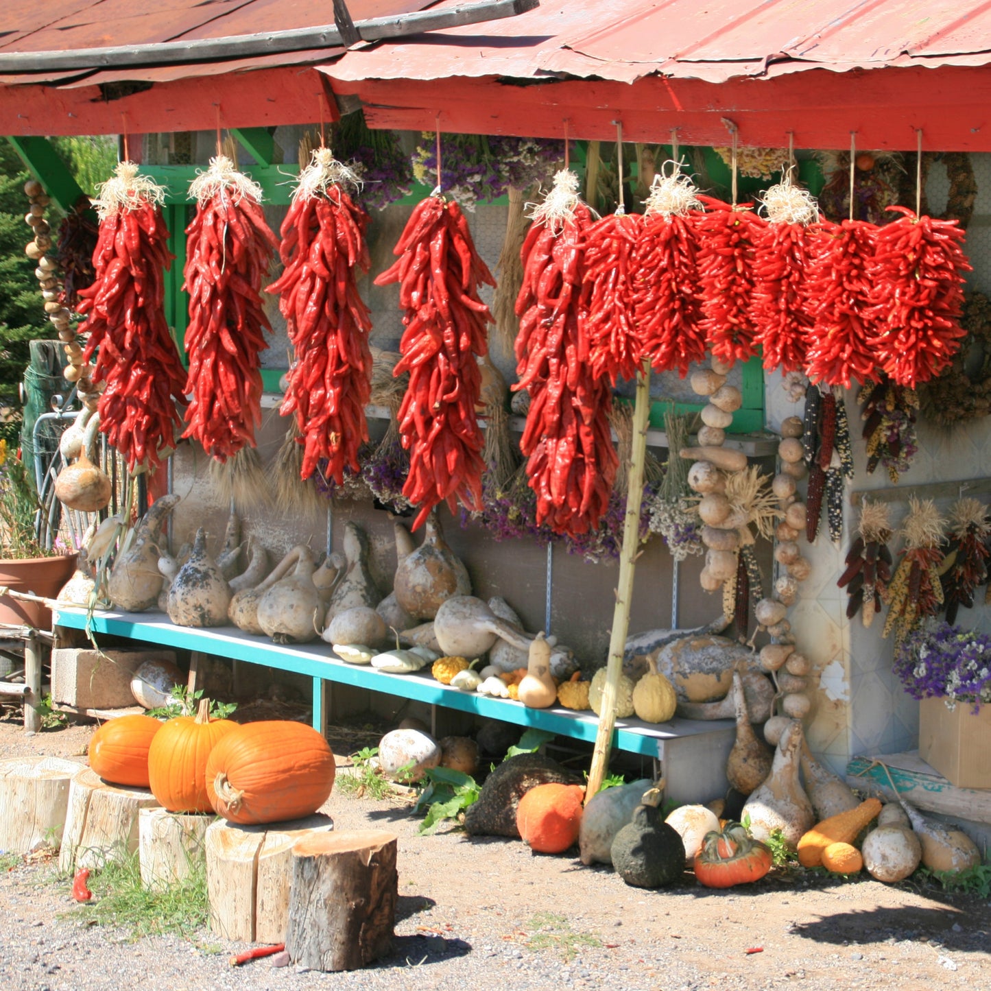 New Mexico Chile Ristras