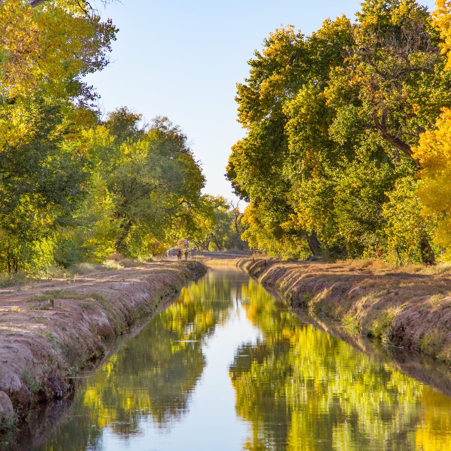 New Mexico Fall Ditch at Sunset