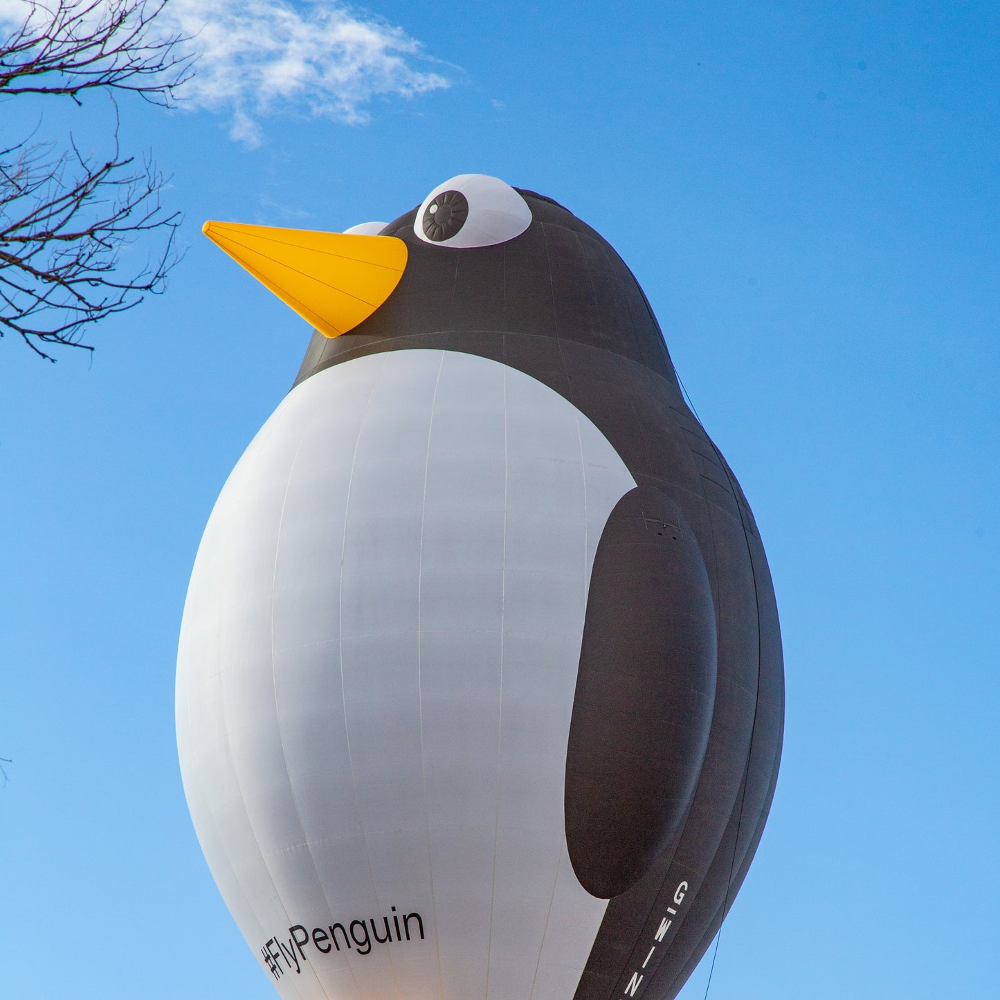 New Mexico Balloon Fiesta - The Penguin