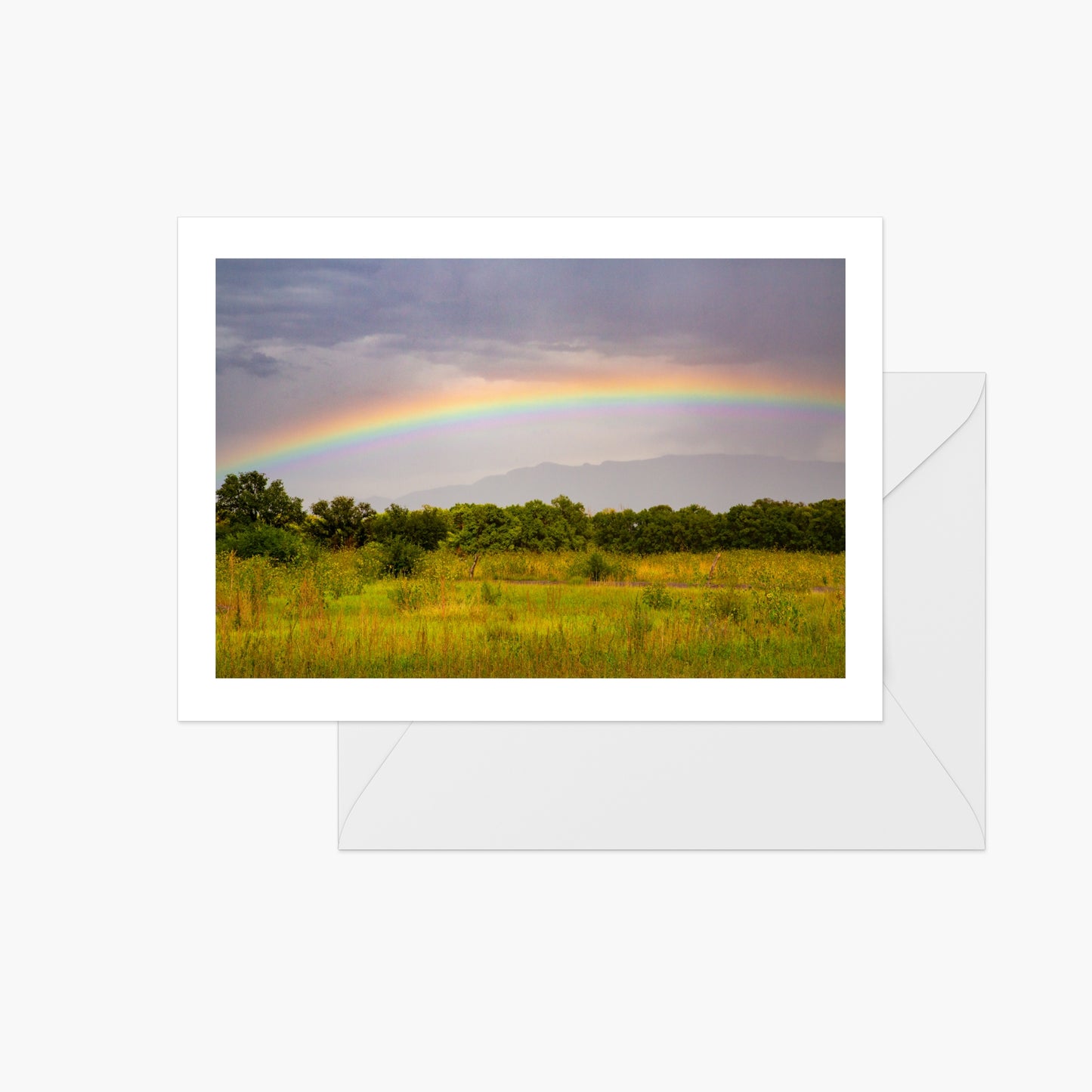 Rainbow Fields