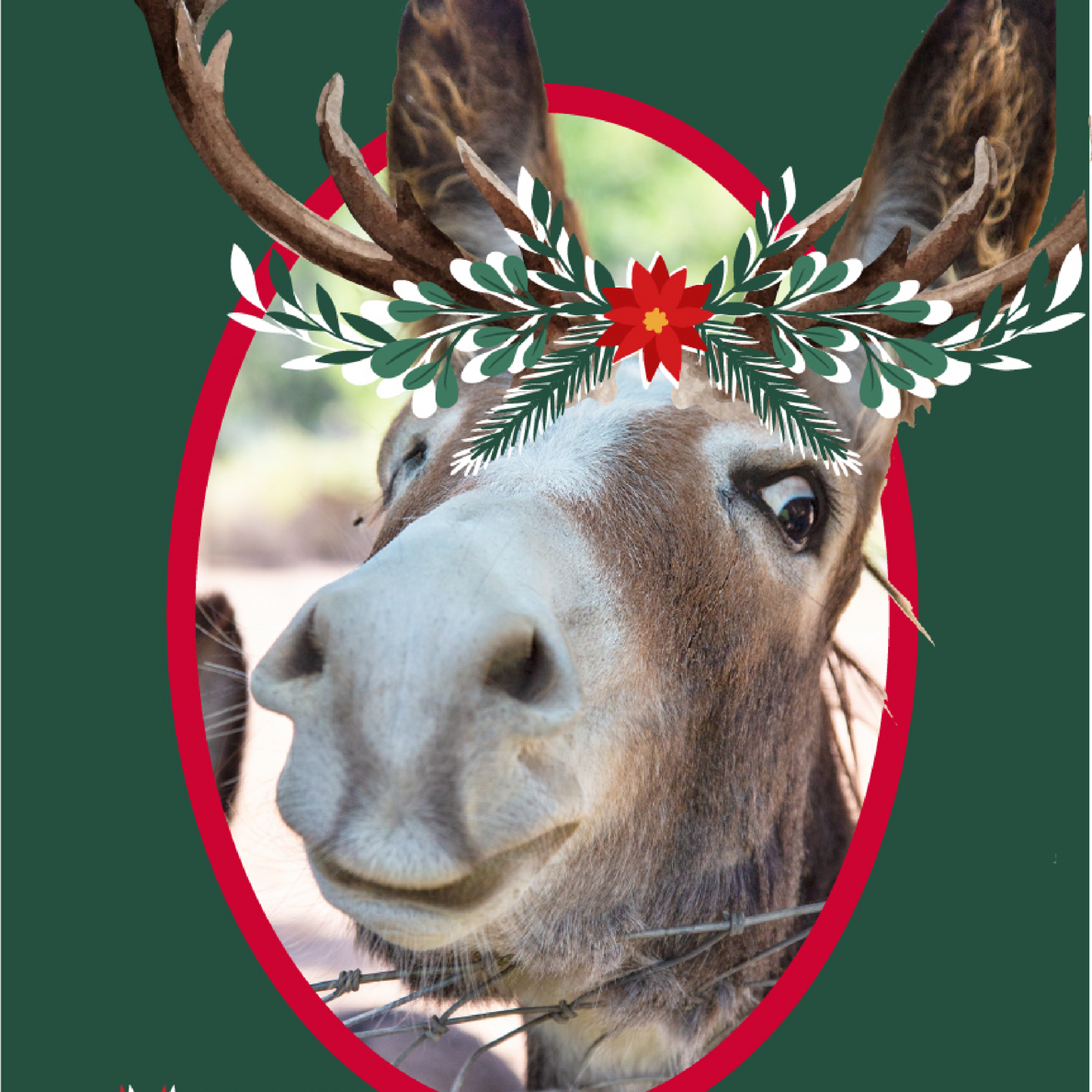 May all Your Dreams Come True