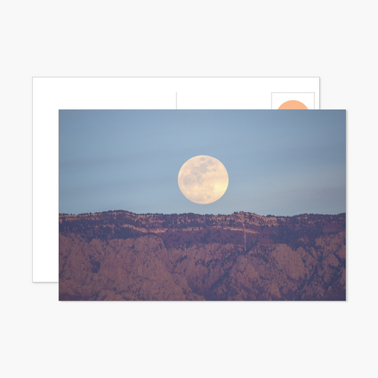Moonstruck Postcard