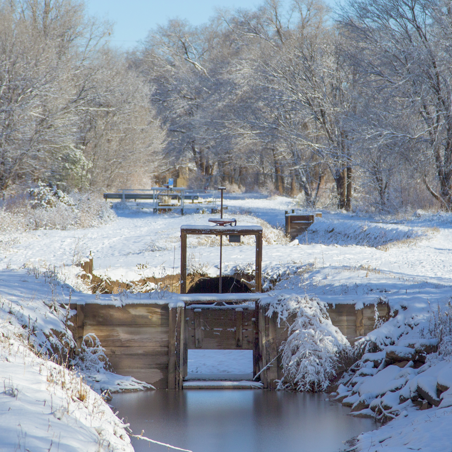 Morning Snow on Ditch in Winter Postcard