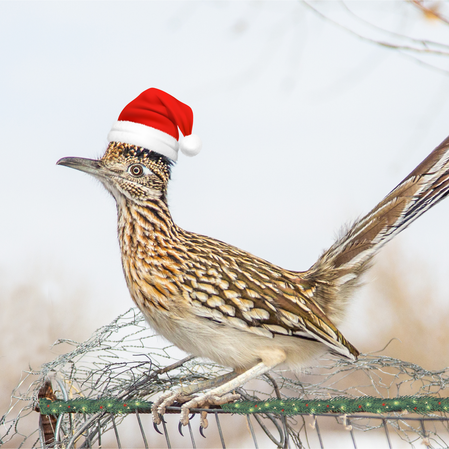 Roadrunner Santa