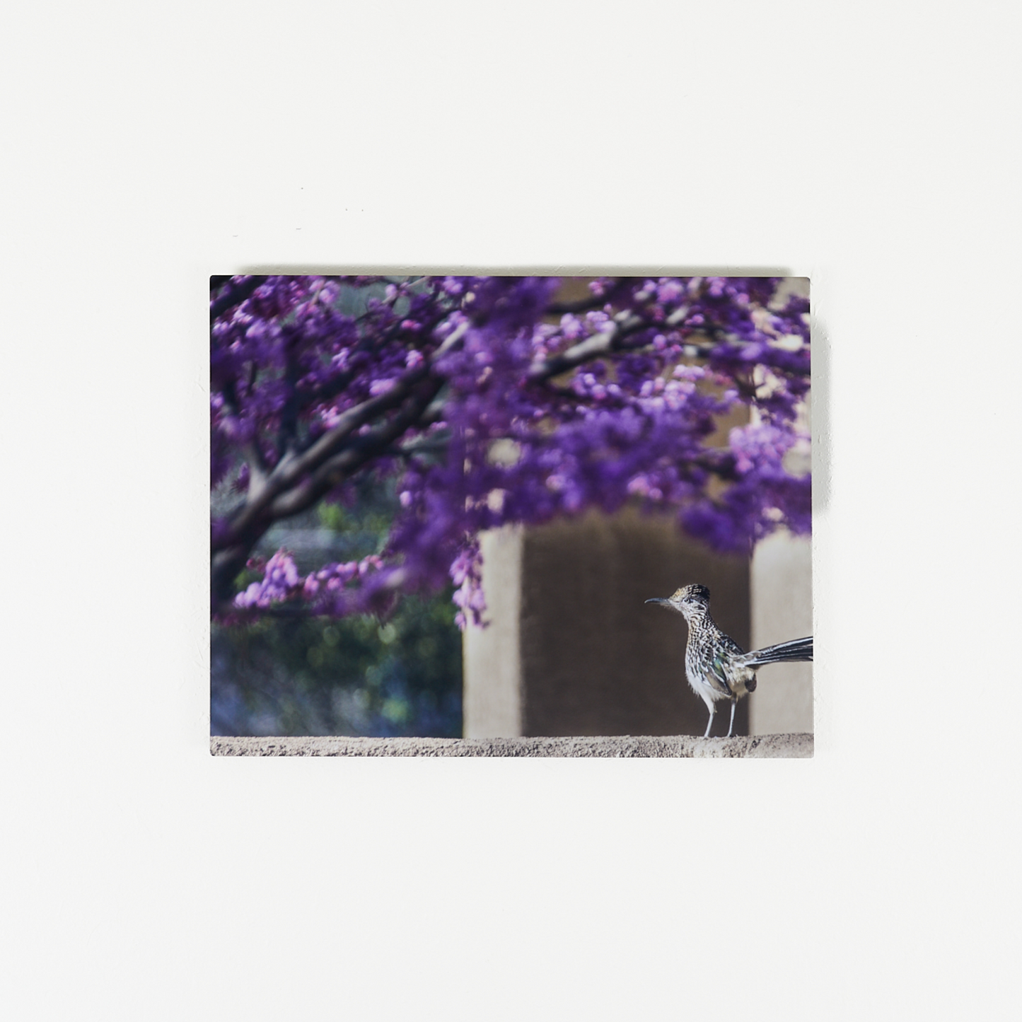 Roadrunner in Spring Metallic Print