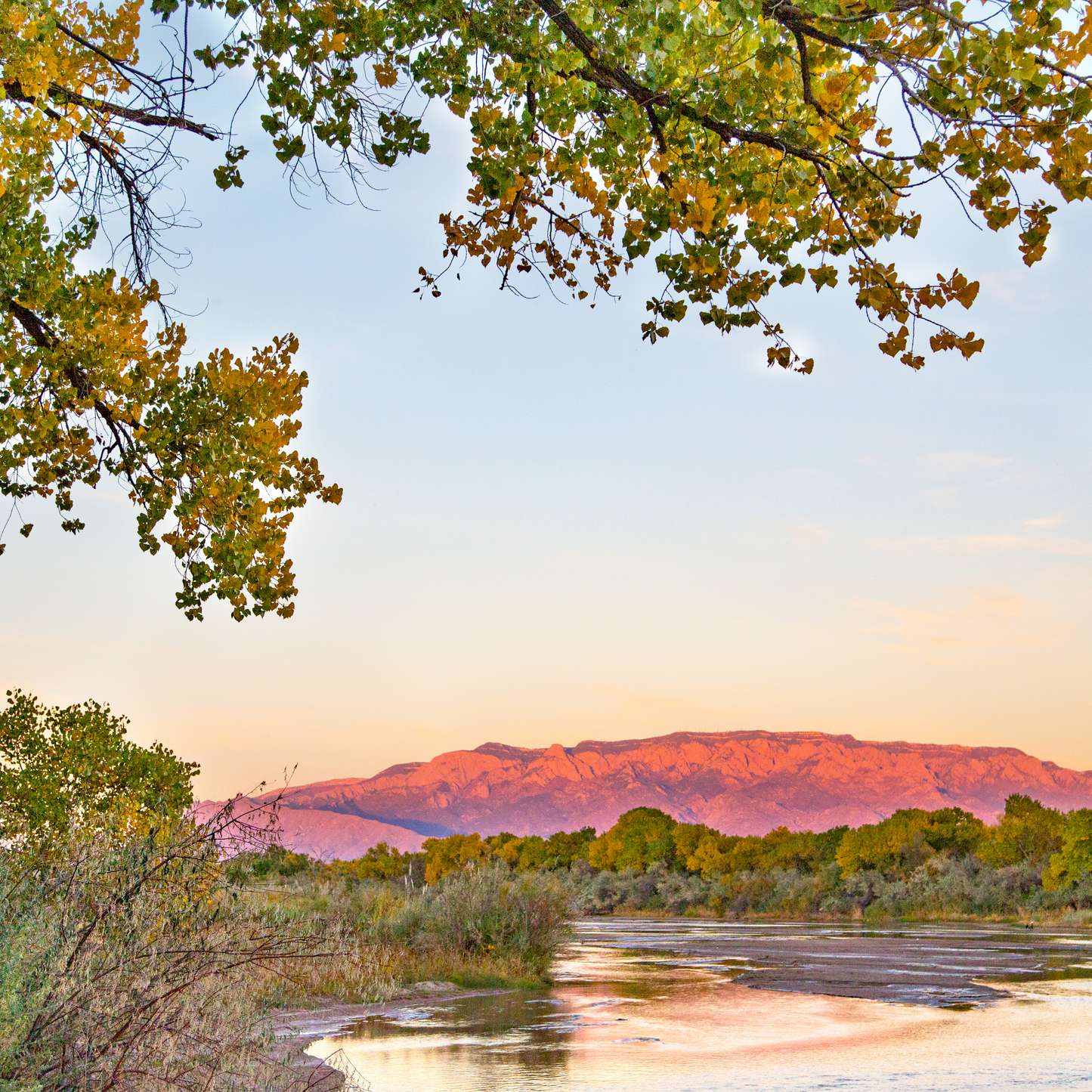 Sandia Mountains with Rio Grande at Sunset Postcard