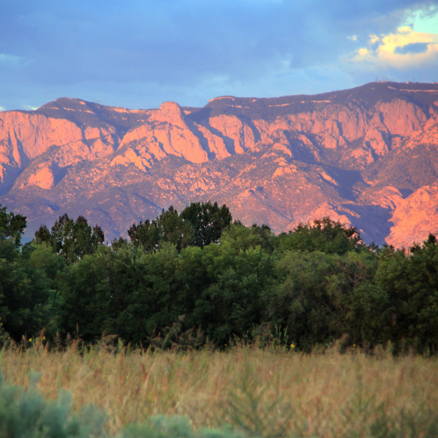 Sandia Mountain's at Sunset Postcard