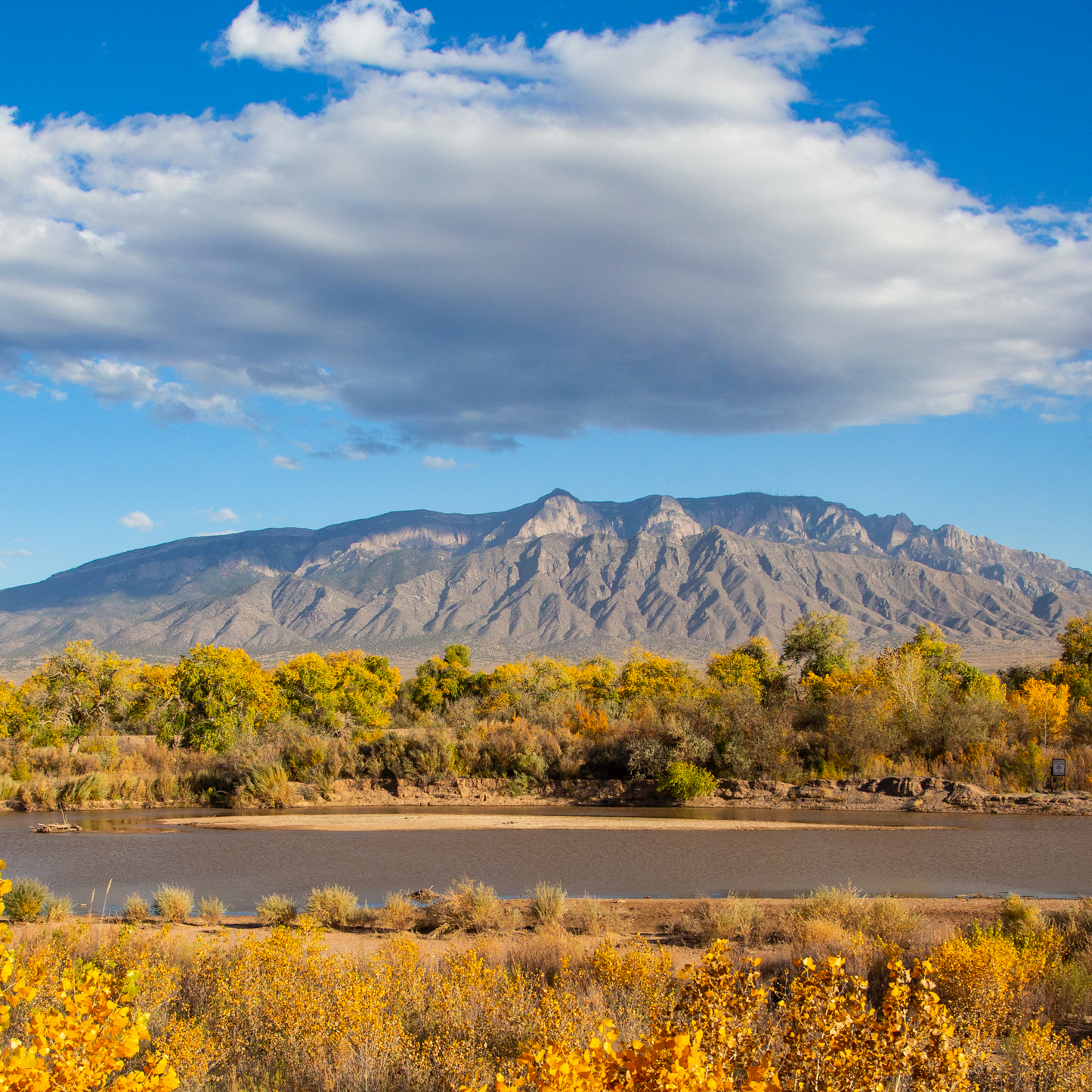 Sandia Mountains in Fall from Corrales Postcard