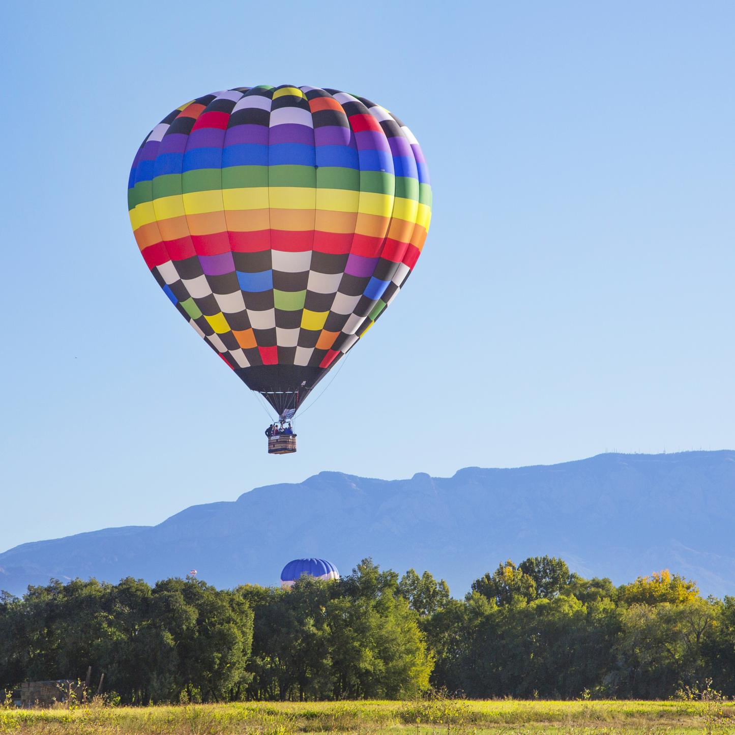 Single Balloon over the Sandia Mountain's Postcard