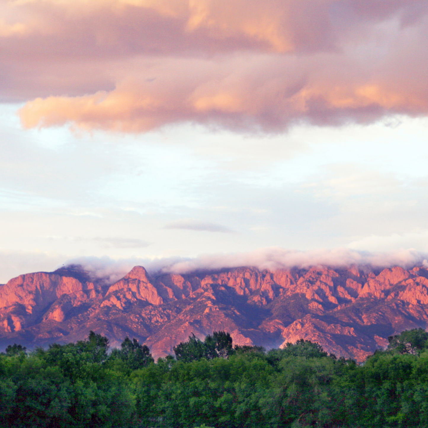 Smokey Pink and Green Sunset Postcard