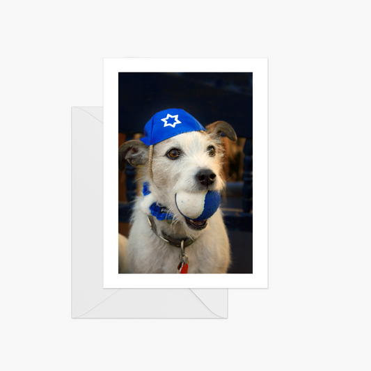 Happy Ball Hanukkah