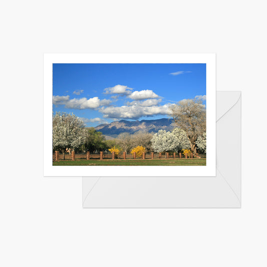 Sandia Mountains with Spring Landscape