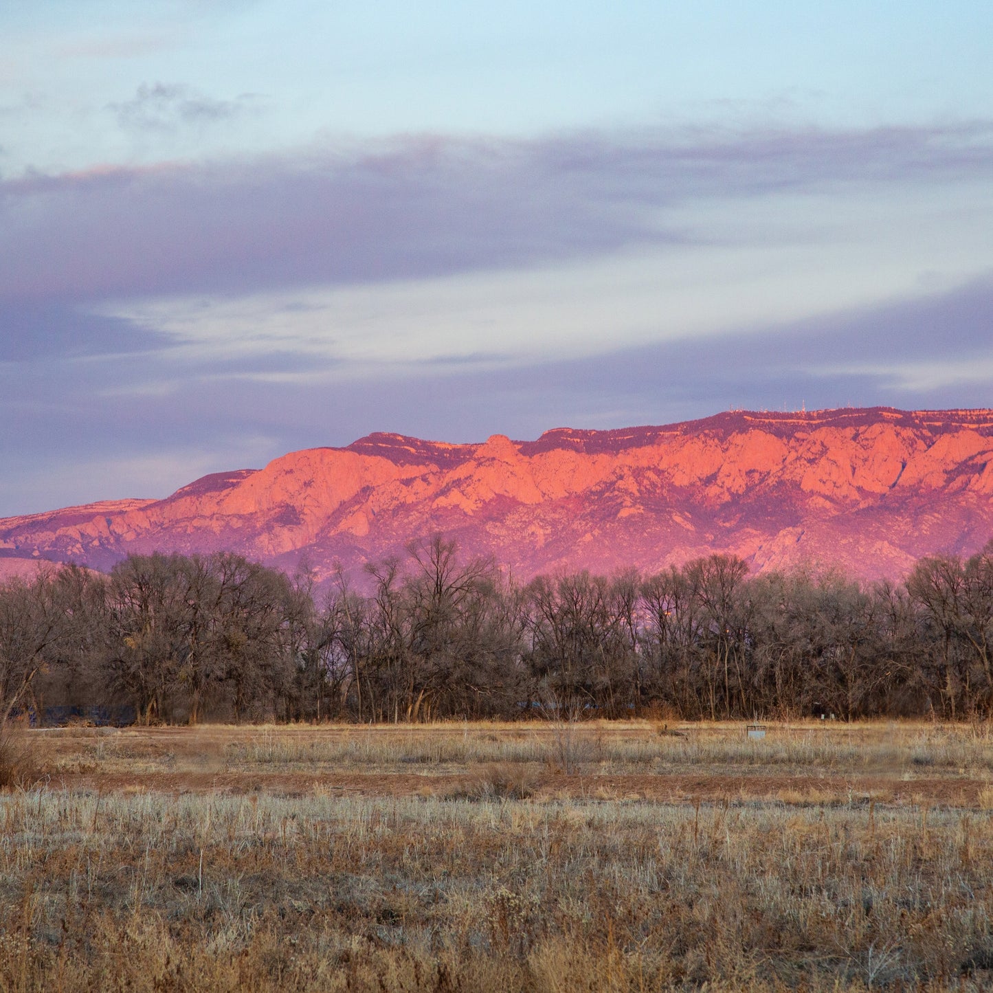 Winter Watermelon Mountains