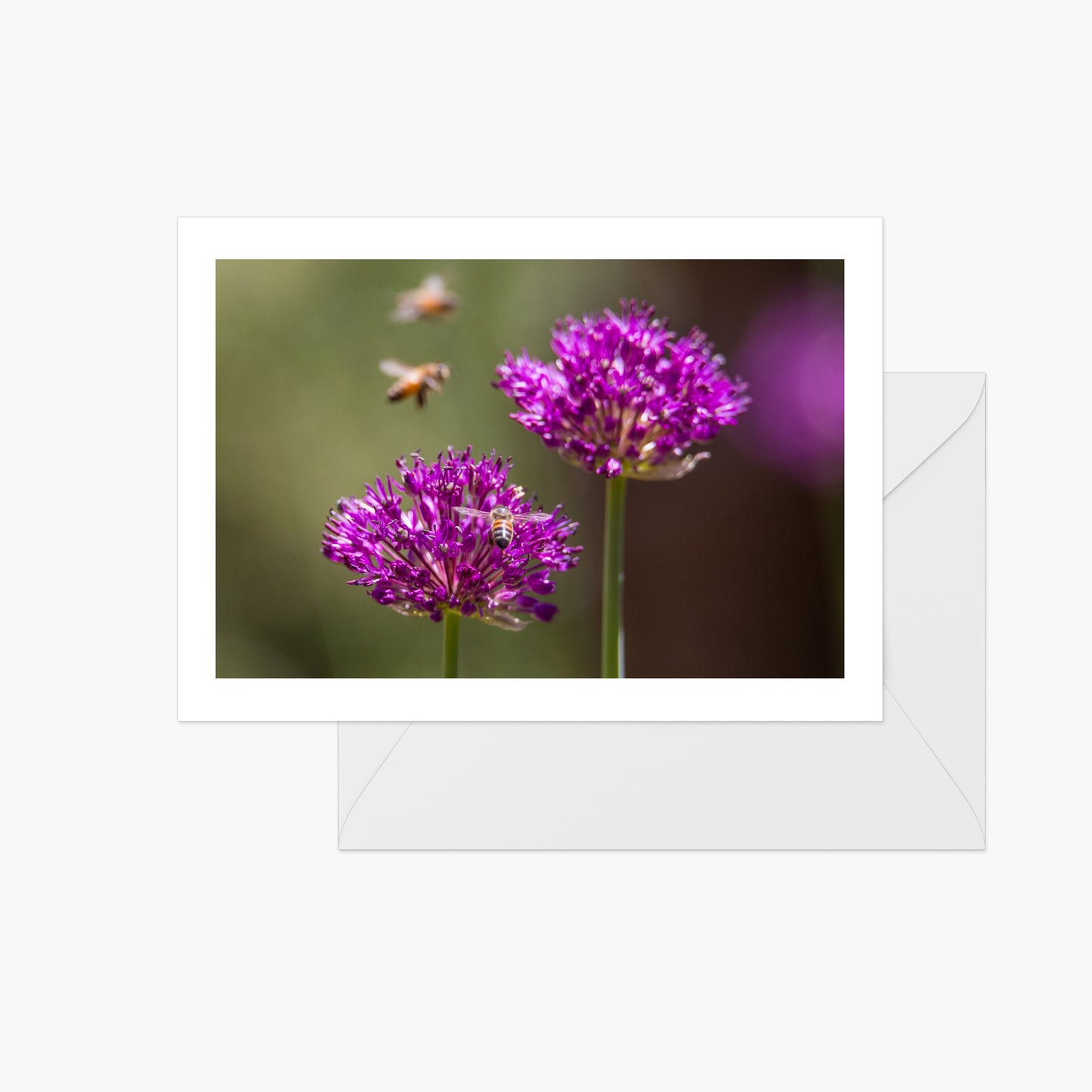 Bee and Flowers