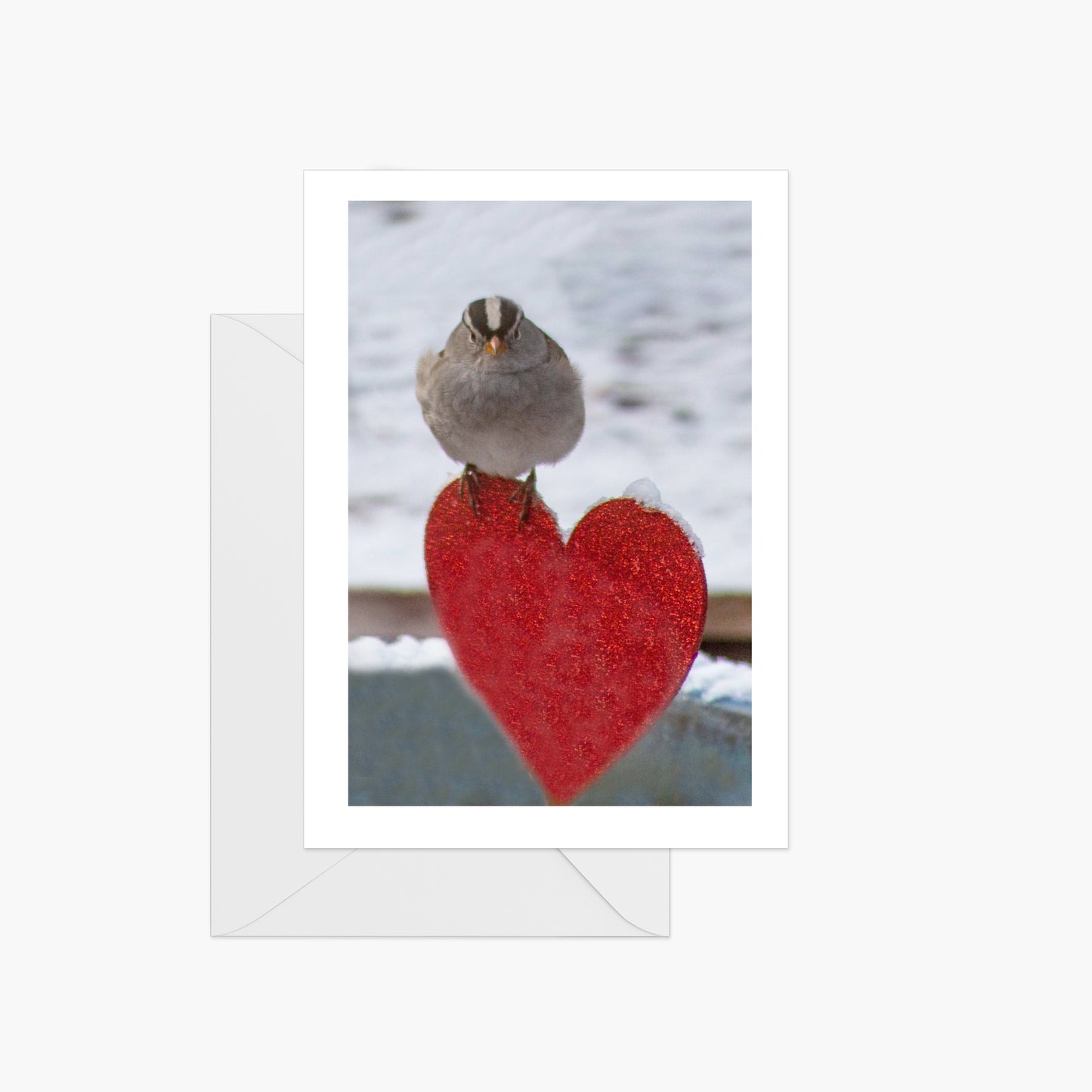 Sparrow Heart