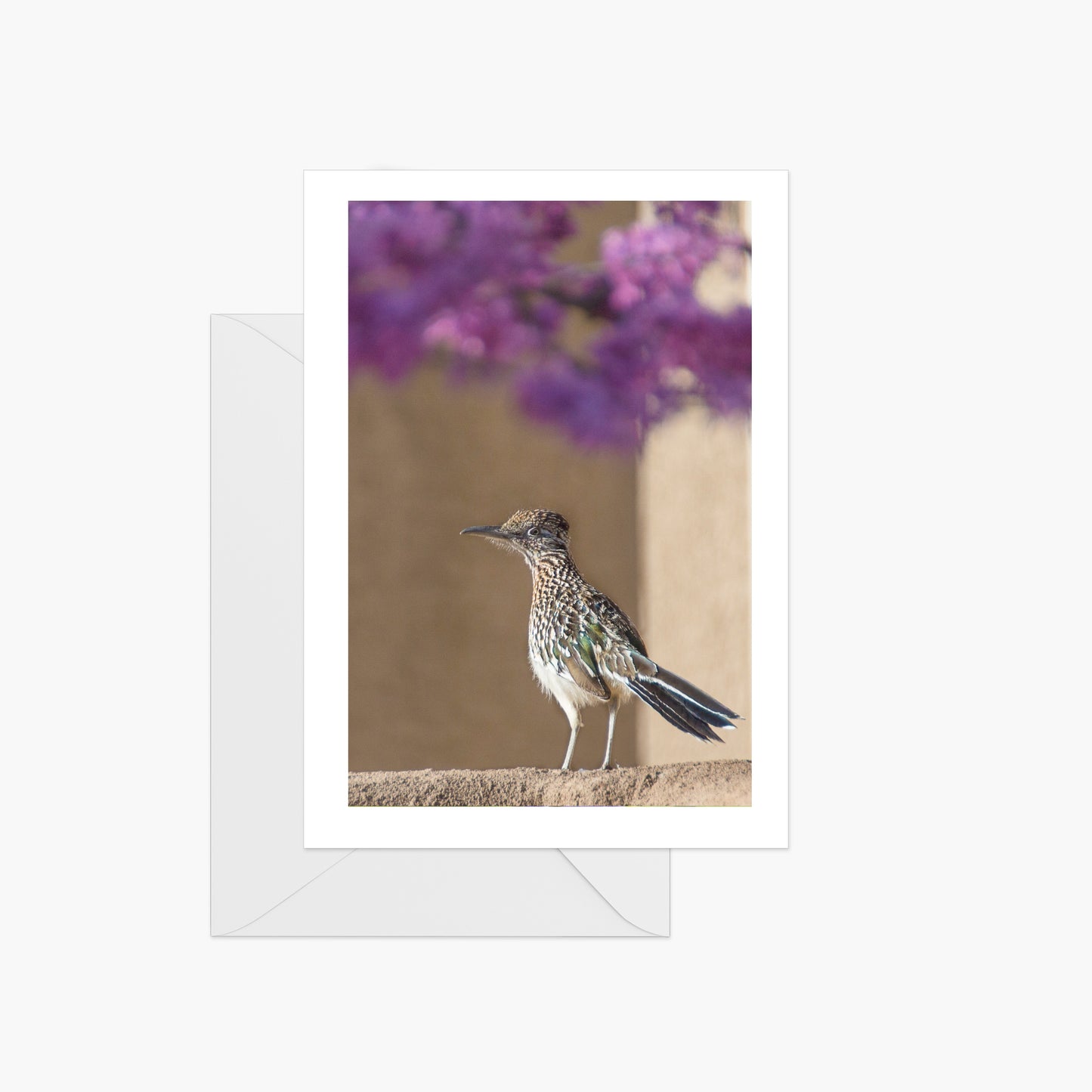 Spring Roadrunner