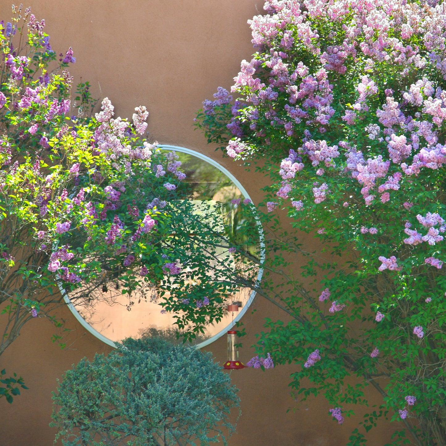 Round Window Lilacs Breeze