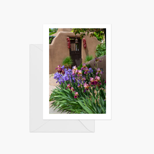 Santa Fe Spring Iris