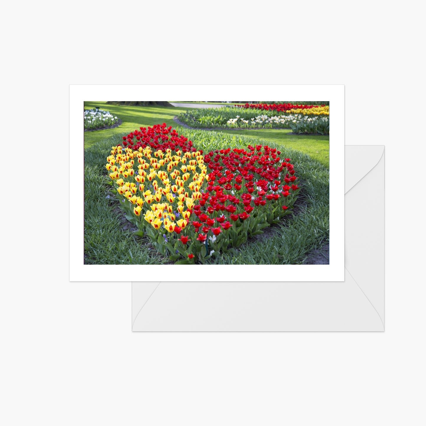 Tulips in Love