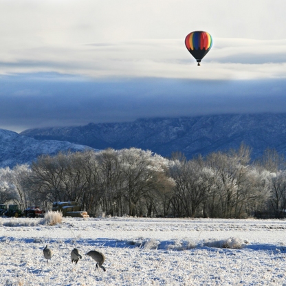 Balloon Flight one Snowy Winter Morning Postcard