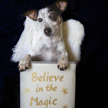 Believe in the Magic