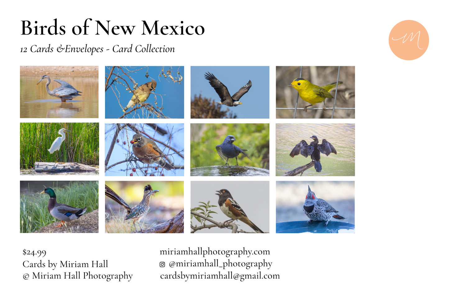 Bird Card Collection