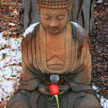 Love Buddha Heart