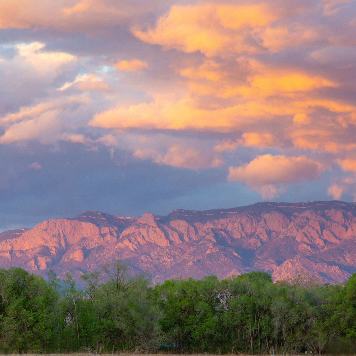 Late Spring Sunset on Sandia Mountains