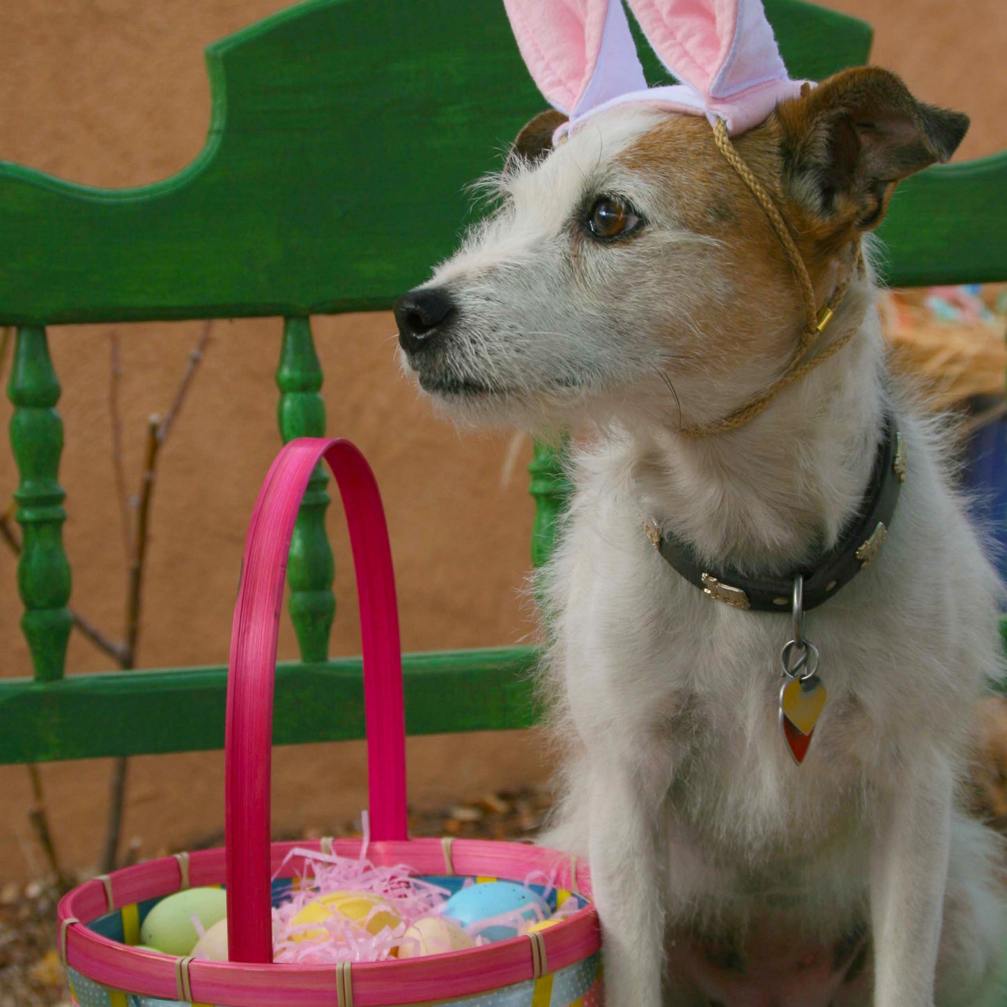 Easter Bunny and Basket