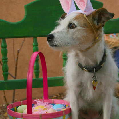 Easter Bunny and Basket
