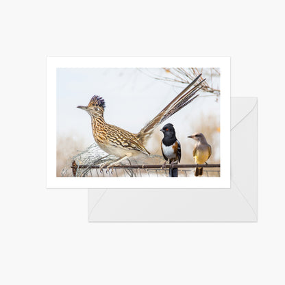 Road Runner and Friends