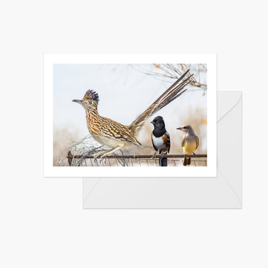 Road Runner and Friends