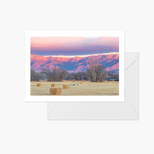 Hay bales Sunset on Sandias